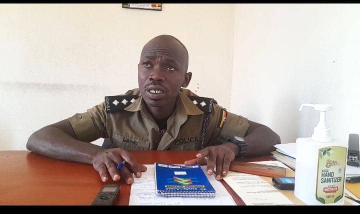 Kazo district registers increased cases of cattle theft.
