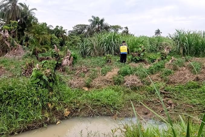 Ibanda Security Committee Orders Nyabuhikye Farm to Halt Cultivation in Nyabukurungo Wetland