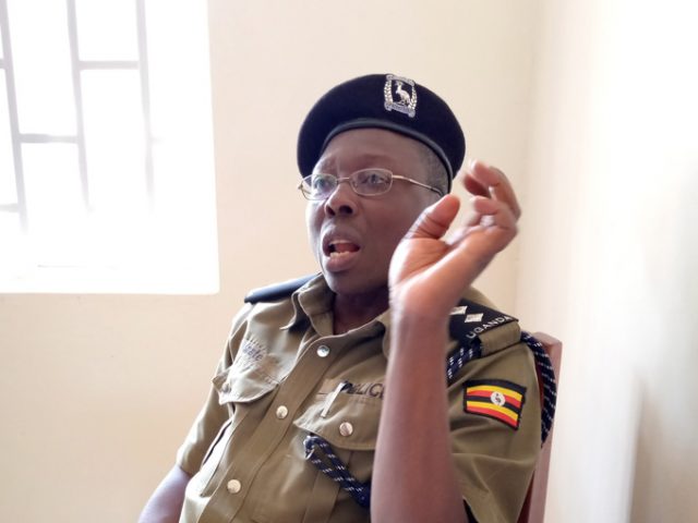 Man murdered, body found in eucalyptus forest