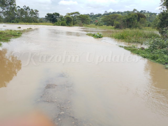 Decomposing body of 53 year old man discovered in flooded area