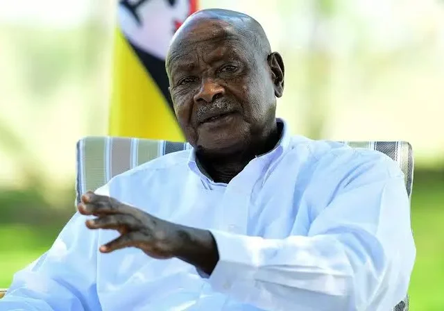 Museveni Orders UGX 310 Billion to Rescue Uganda’s Struggling Tea Sector