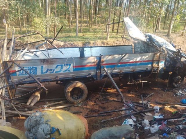 Eight die in nasty road accident